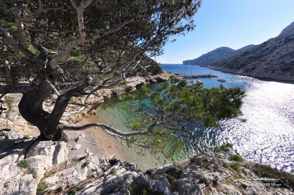 Calanque de Morgiou à Marseille