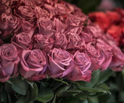 Valentine's Day in Marseille