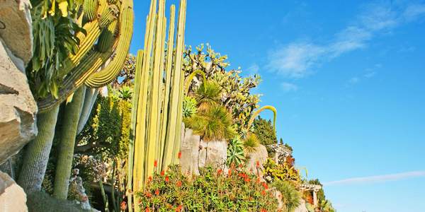 jardin de monaco Monaco vaut-elle la peine d’être visité ?